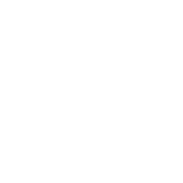 Gildan Gildan